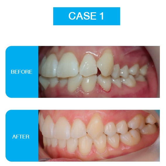 Website CS-02-08